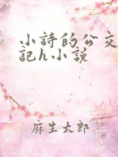 小诗的公交车日记h小说