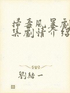 扫毒风暴剧情分集剧情介绍电视猫