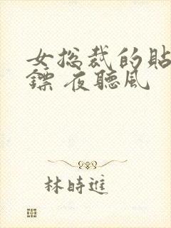 女总裁的贴身保镖 夜听风