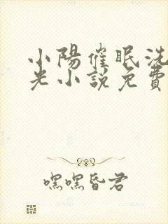 小阳催眠洗脑曹光小说免费阅读