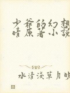 少爷的幻想全晚晴原著小说在线阅读