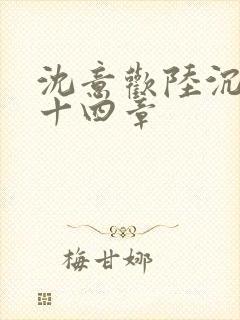 沈意欢陆沉舟第十四章