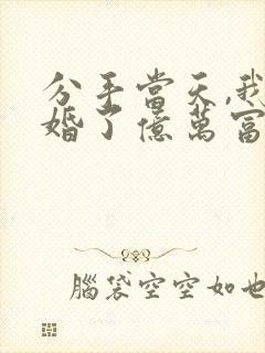 分手当天,我闪婚了亿万富豪小说看