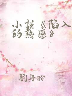 小说《陷入我们的热恋》