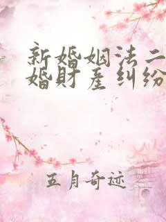 新婚姻法二婚离婚财产纠纷律师