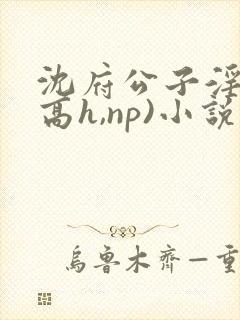 沈府公子淫史(高h,np)小说