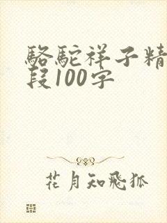 骆驼祥子精彩句段100字