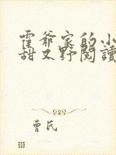 霍爷家的小祖宗甜又野阅读阅读全文