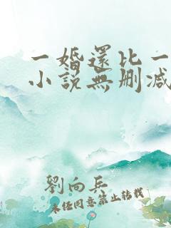 一婚还比一婚高小说无删减版