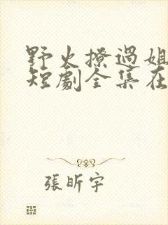 野火撩过姐姐心短剧全集在线观看