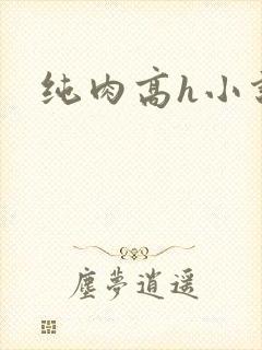 纯肉高h小说