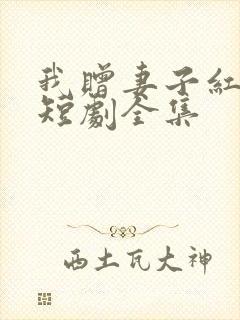 我赠妻子红缨枪短剧全集