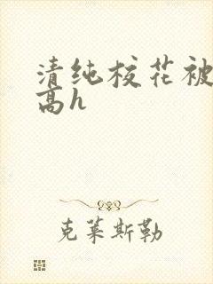 清纯校花被调教高h