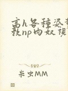 高h各种姿势调教np肉奴视频