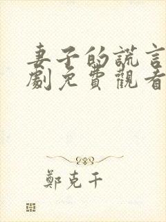 妻子的谎言电视剧免费观看