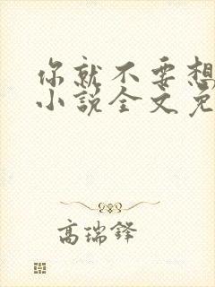 你就不要想起我小说全文免费阅读