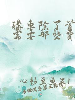 购车除了首付还需要哪些费用