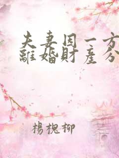 夫妻因一方出轨离婚财产分割