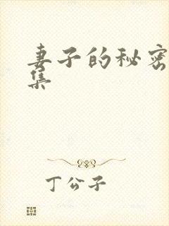 妻子的秘密第3集