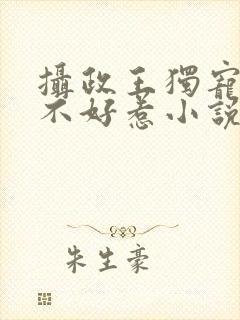 摄政王独宠医妃不好惹小说免费阅读