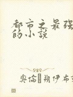 都市之最强狂兵的小说