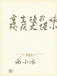 重生后我嫁给了残疾大佬小说