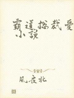 霸道总裁爱上我 小说