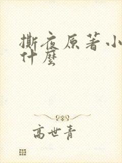 撕夜原著小说叫什么