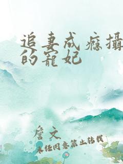 追妻成瘾摄政王的宠妃