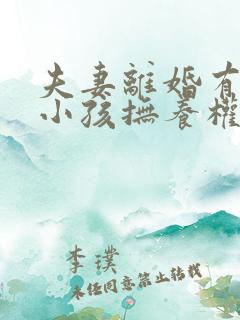 夫妻离婚有两个小孩抚养权怎么判