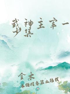 武神主宰一共多少集