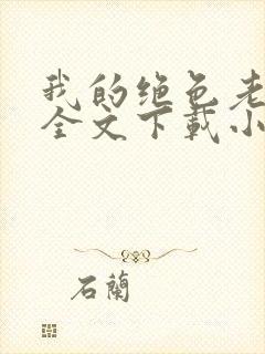 我的绝色老板娘全文下载小说