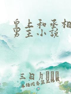 皇上和丞相的双男主小说