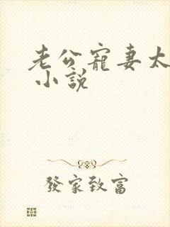 老公宠妻太甜蜜 小说