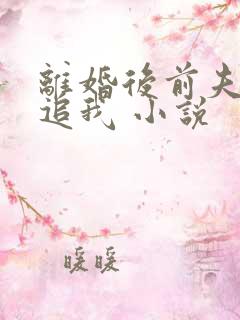 离婚后前夫总想追我 小说