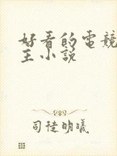 好看的电竞双男主小说