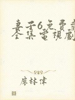 妻子6免费观看全集电视剧