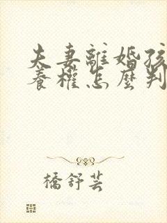 夫妻离婚孩子抚养权怎么判定一个孩子