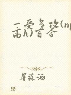 一受多攻(np高h)百合