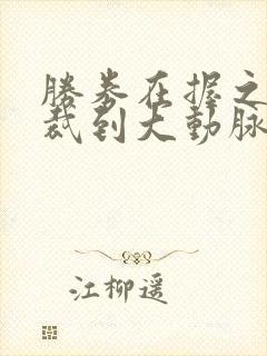 胜券在握之裁员裁到大动脉短剧