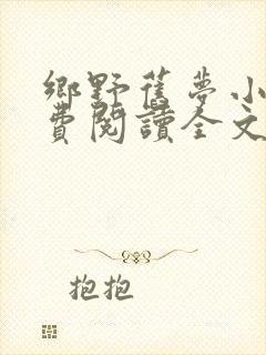 乡野旧梦小说免费阅读全文最新章节