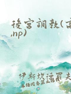 后宫调教(高h,np)