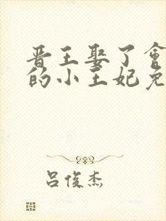 晋王娶了会画符的小王妃免费阅读