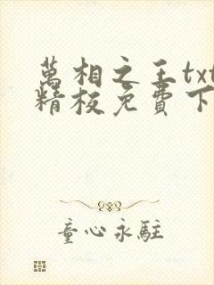 万相之王txt精校免费下载