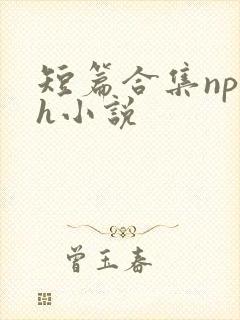 短篇合集np高h小说
