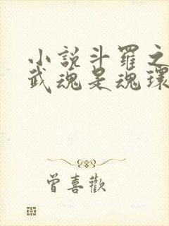 小说斗罗之我的武魂是魂环