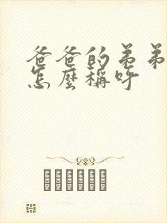 爸爸的弟弟老婆怎么称呼