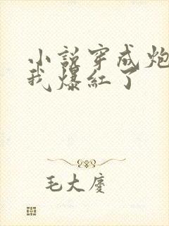 小说穿成炮灰后我爆红了