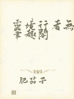 灵境行者无错字笔趣阁