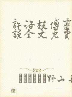 许洛枝傅霁清小说全文免费阅读